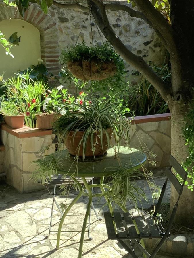 Mas Grandiflora Villa Espira-de-l'Agly Kültér fotó